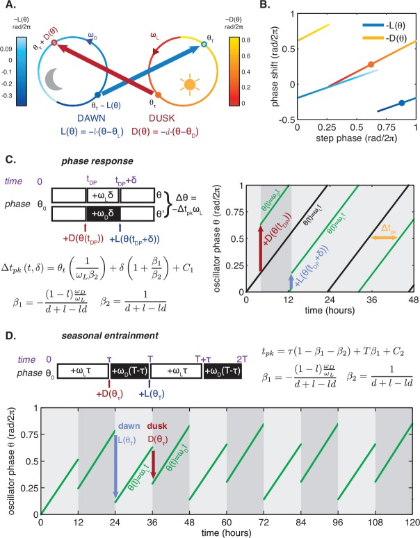 Appendix 1—figure 1.