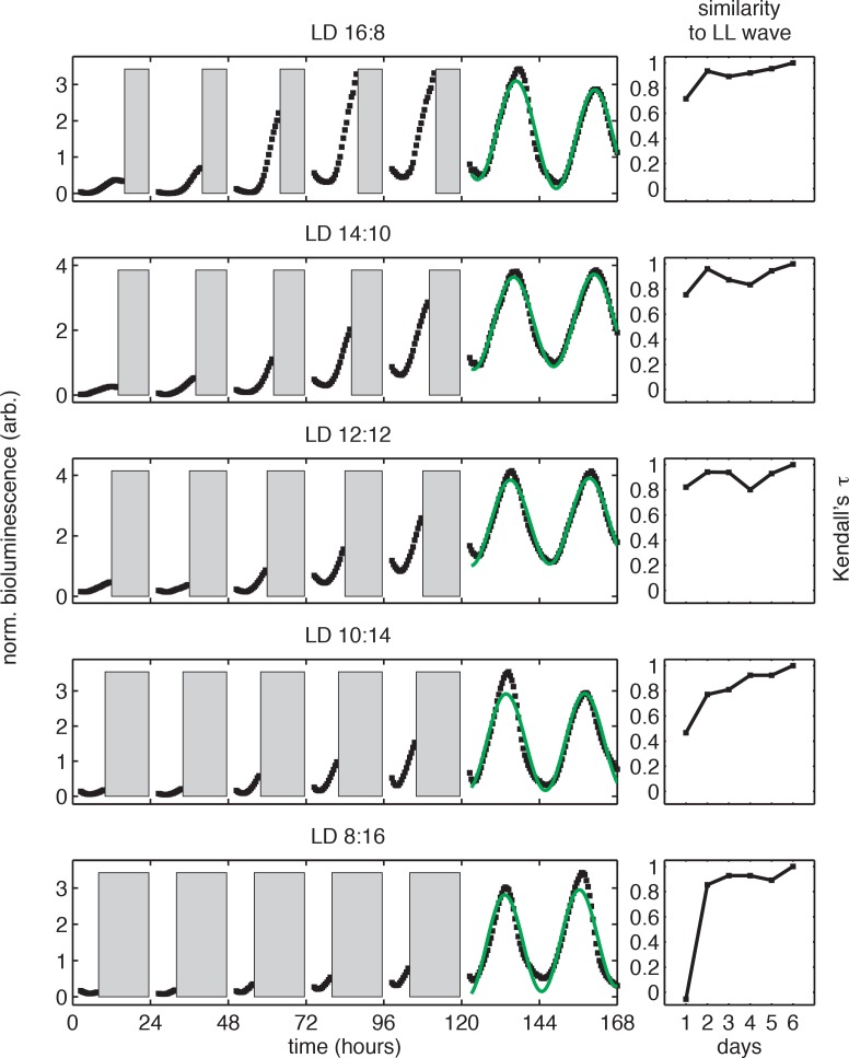 Figure 1—figure supplement 1.