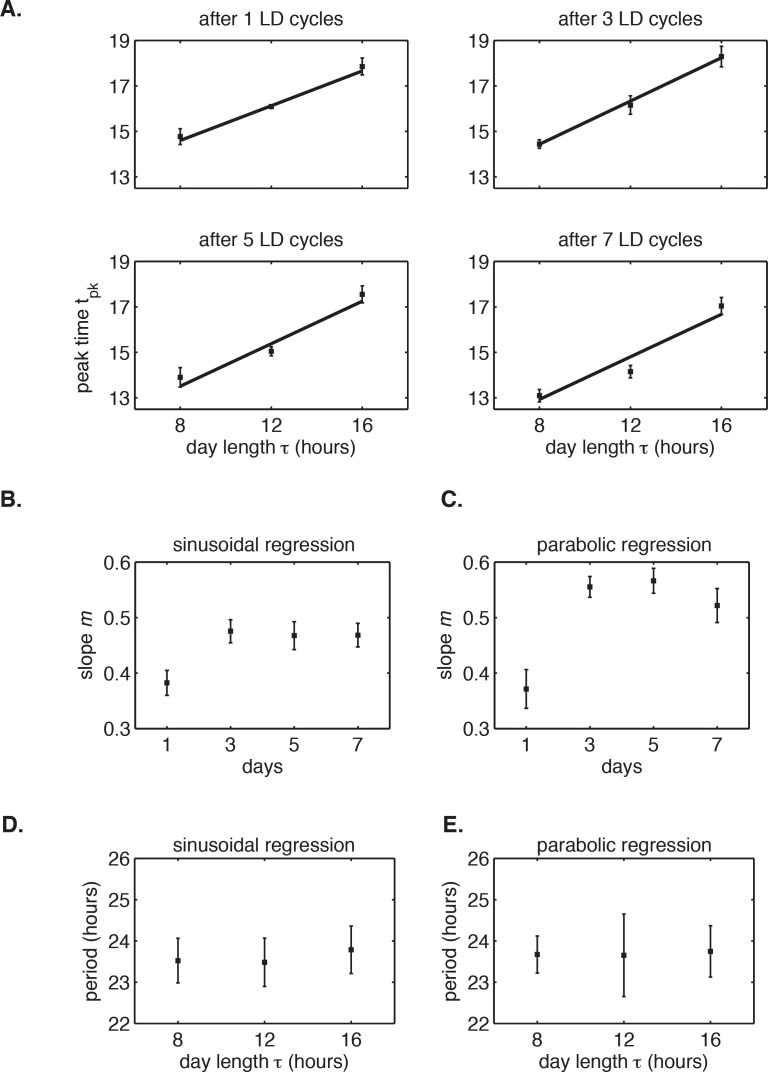 Figure 1—figure supplement 2.