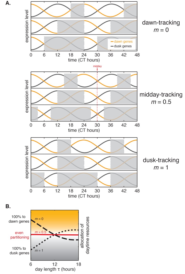 Figure 6—figure supplement 3.