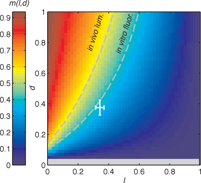 Figure 4—figure supplement 3.