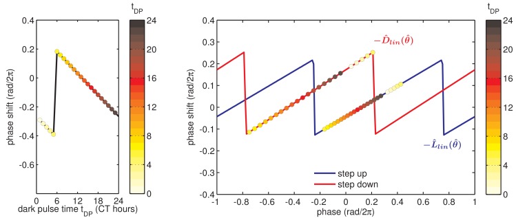 Figure 5—figure supplement 1.