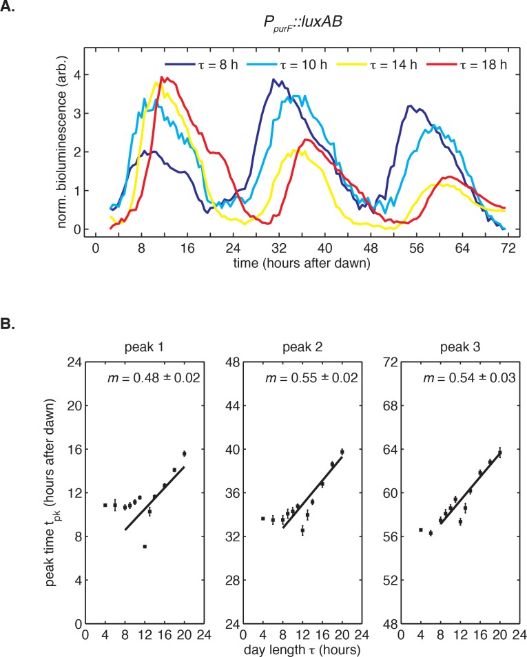 Figure 1—figure supplement 3.