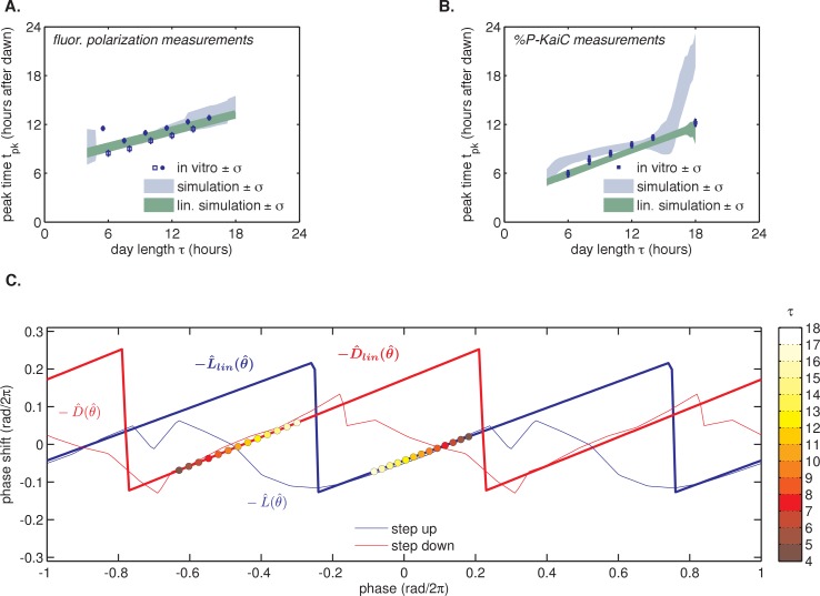 Figure 4—figure supplement 2.