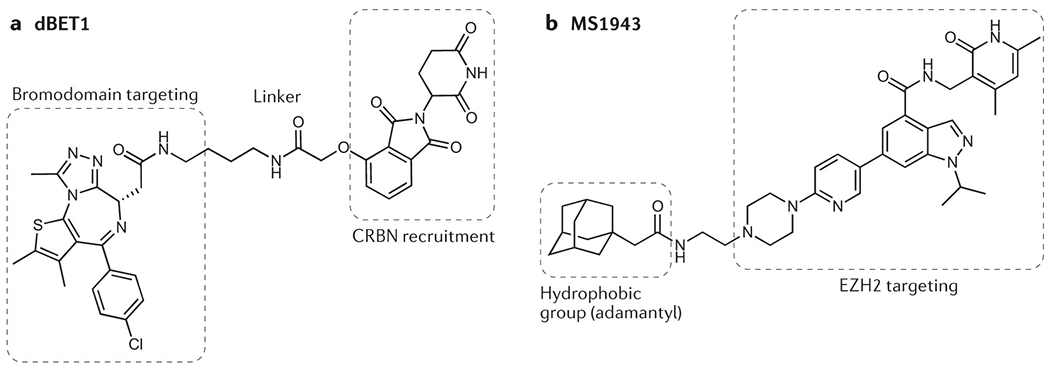 graphic file with name nihms-1782199-f0005.jpg