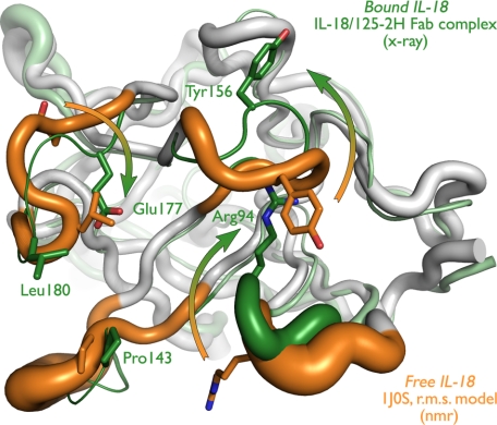 FIGURE 1.