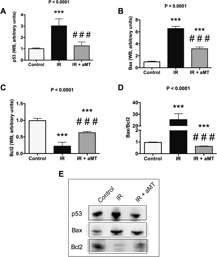 Fig 8