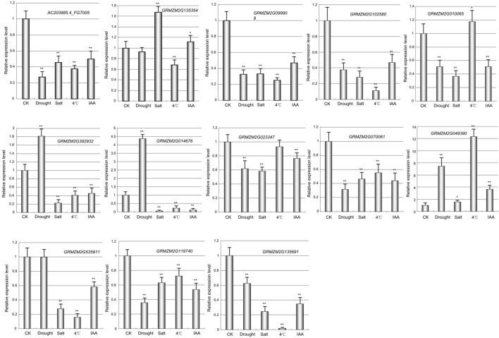 FIGURE 7