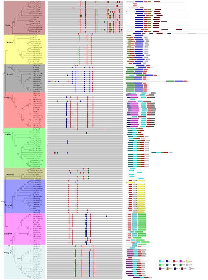 FIGURE 1