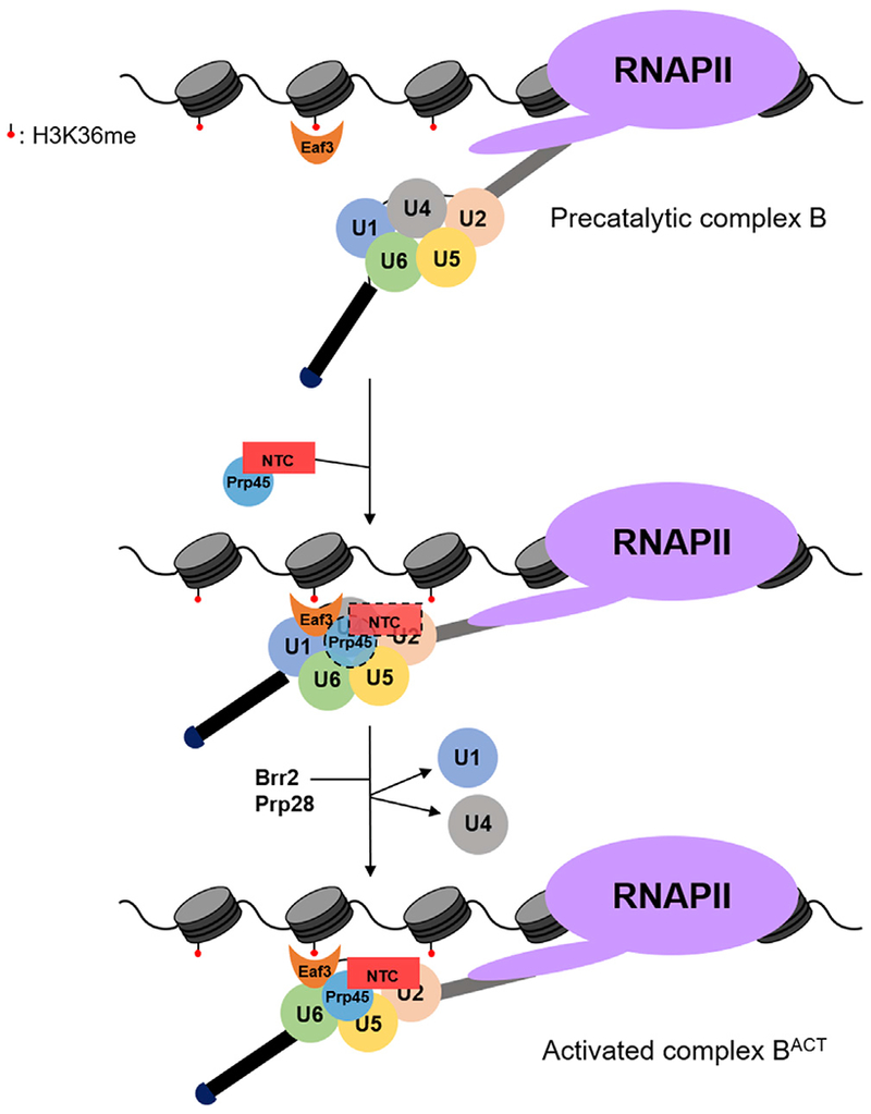 Figure 5.