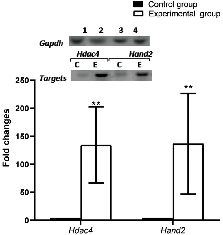 Fig.4