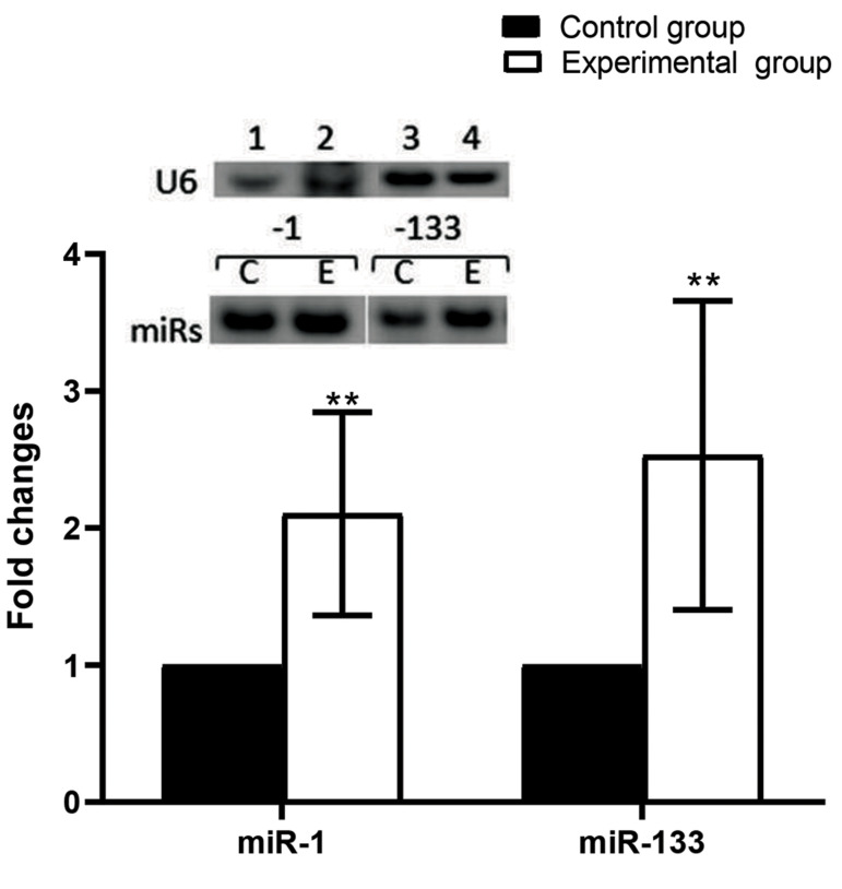 Fig.3