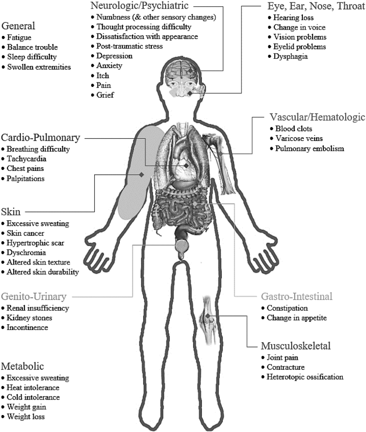 Fig. 2 –