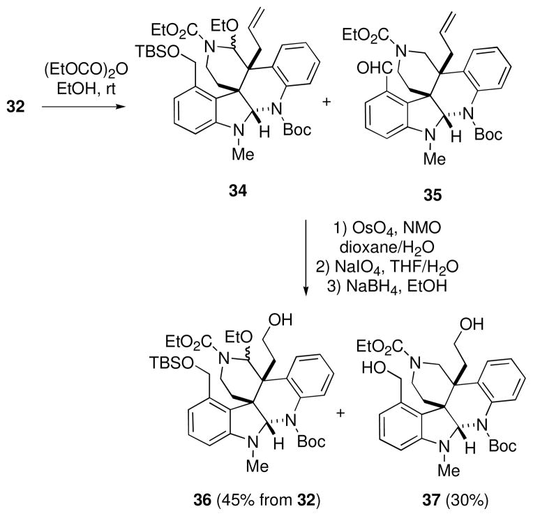 SCHEME 8