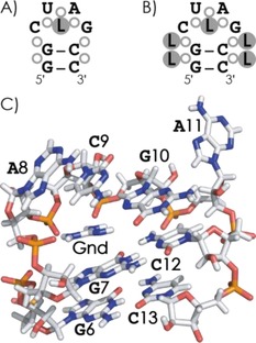 Scheme 4