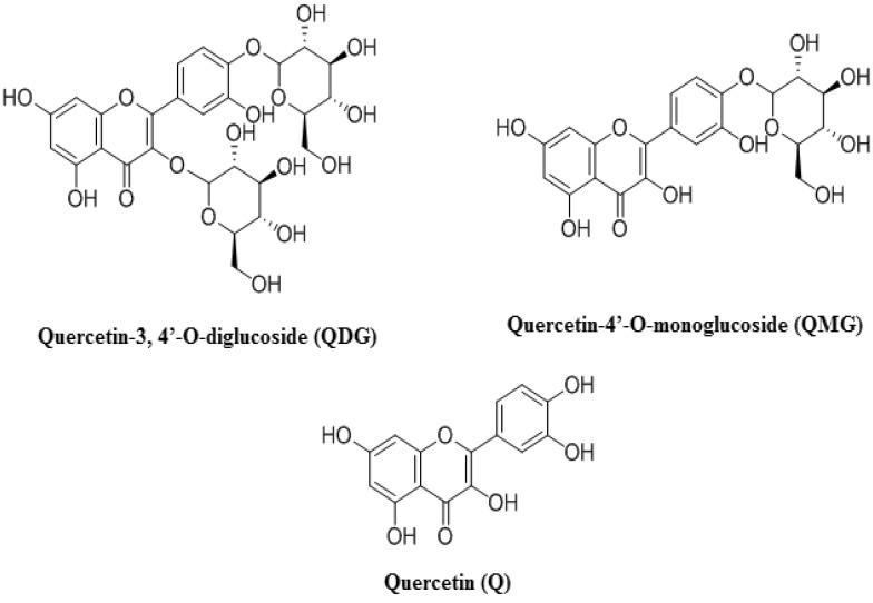 Fig. 2
