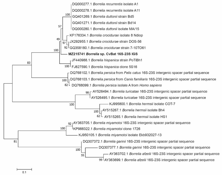 Figure 2