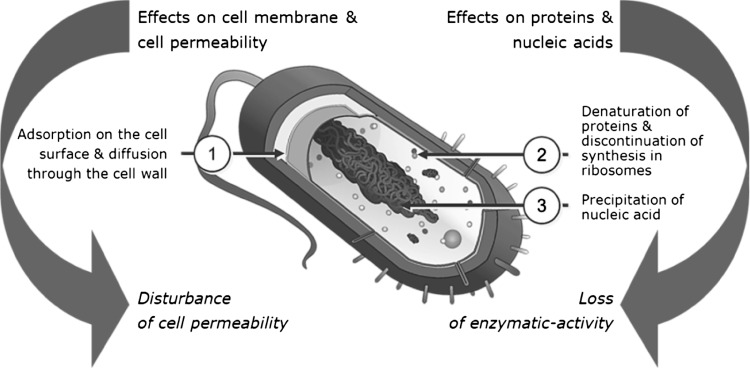 Fig. 2