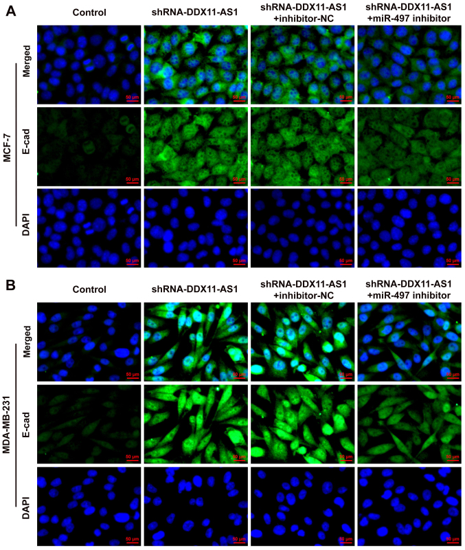 Figure 12.