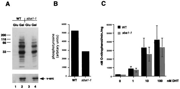 FIG. 6