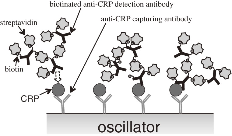 Figure 22. 