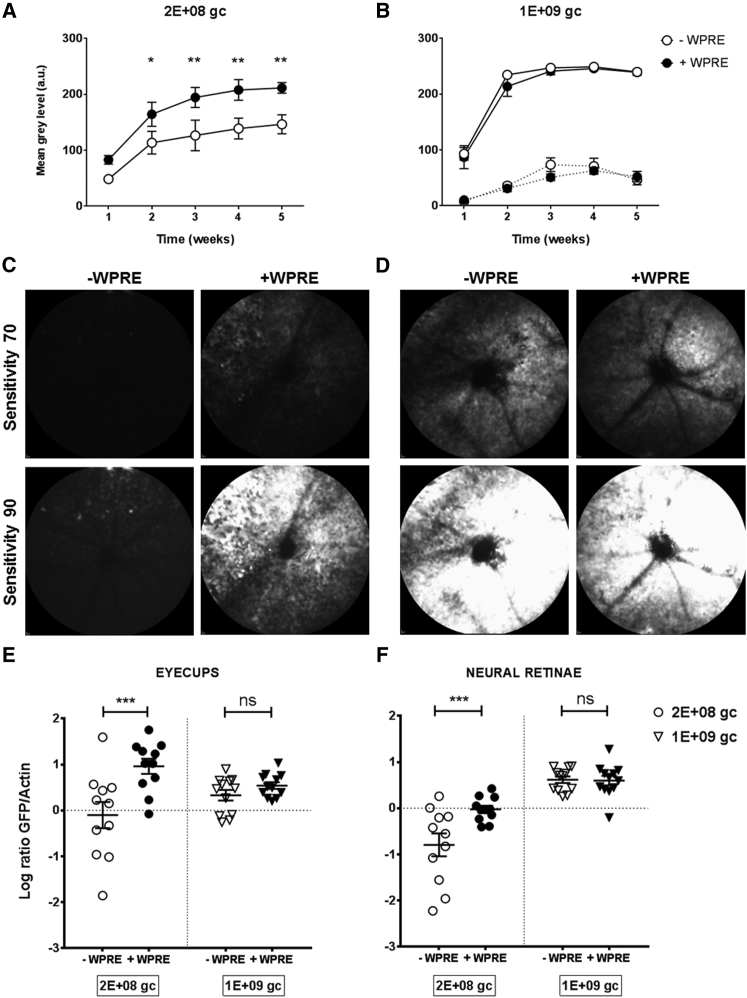 Figure 2