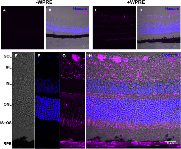 Figure 6