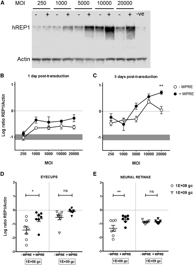 Figure 5