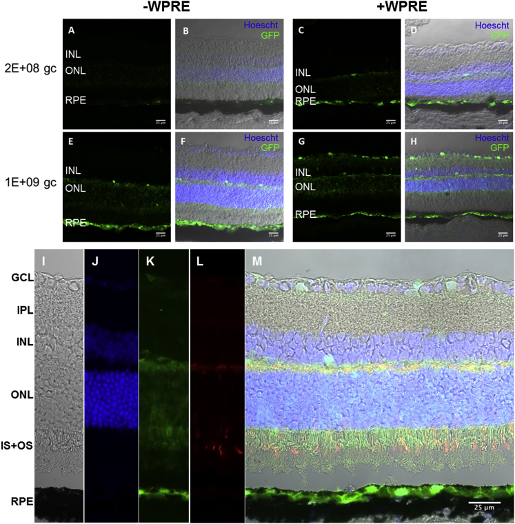 Figure 3