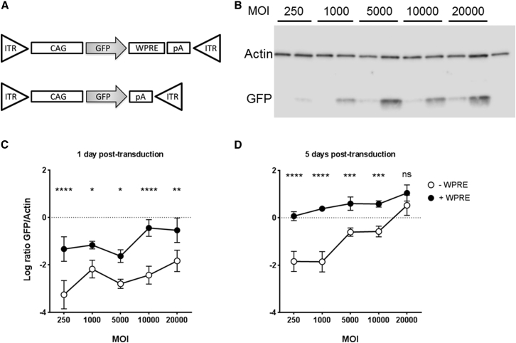 Figure 1