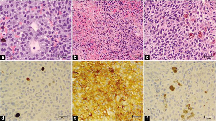 Figure 3: