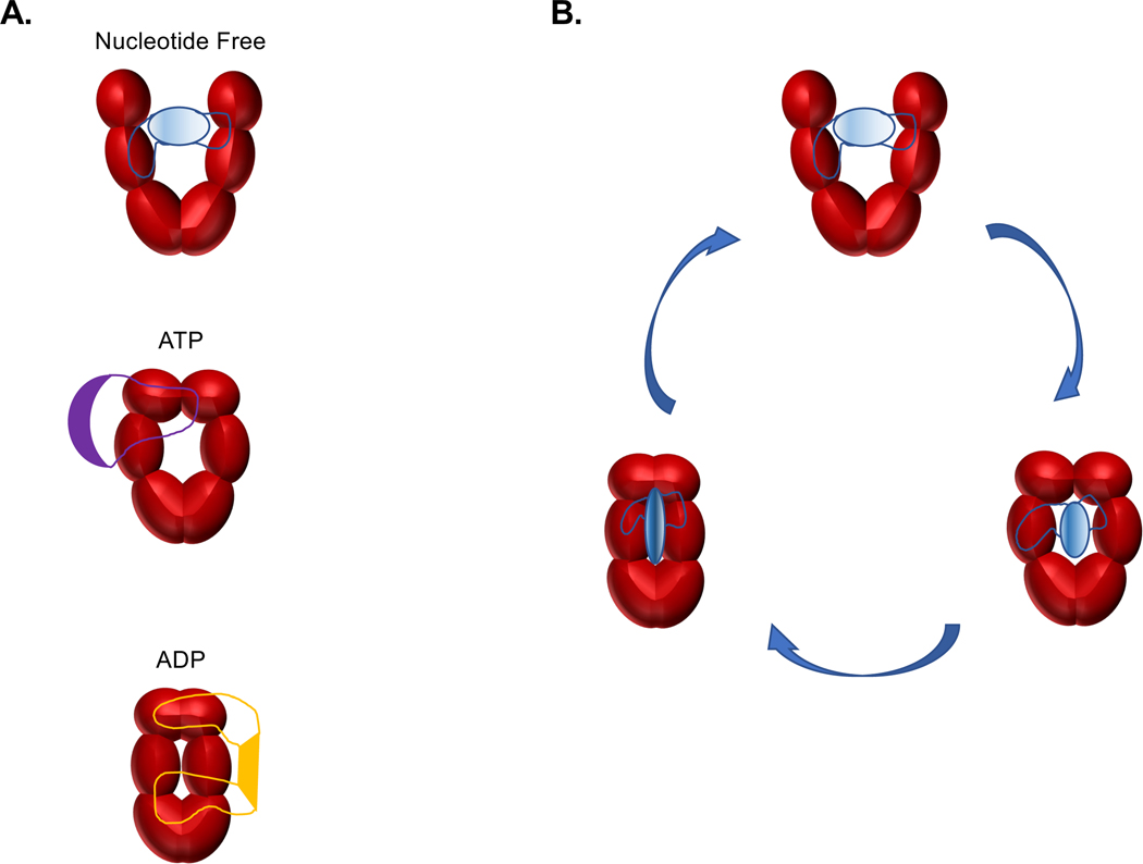 Figure 6.