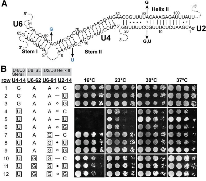 FIGURE 6.