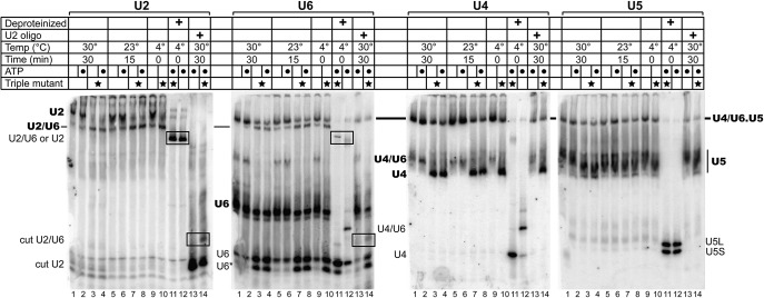 FIGURE 4.