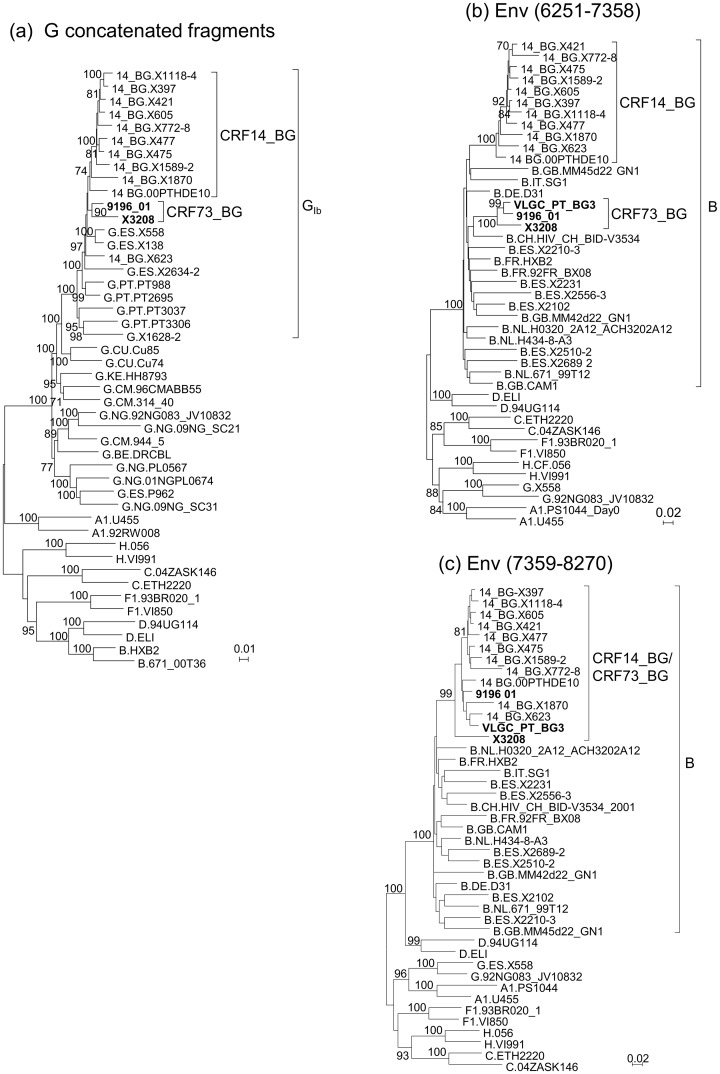 Fig 5