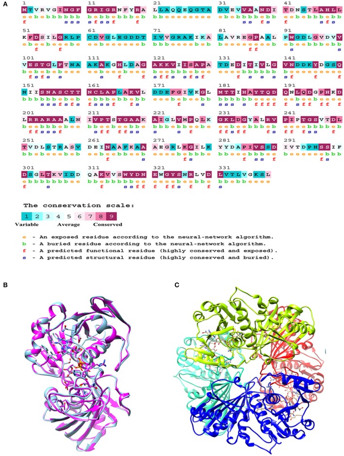 Figure 6