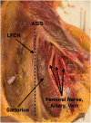 Fig 5