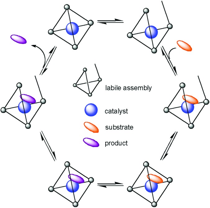 Scheme 3