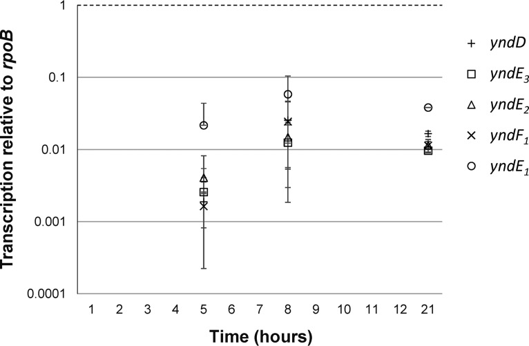 FIG 2