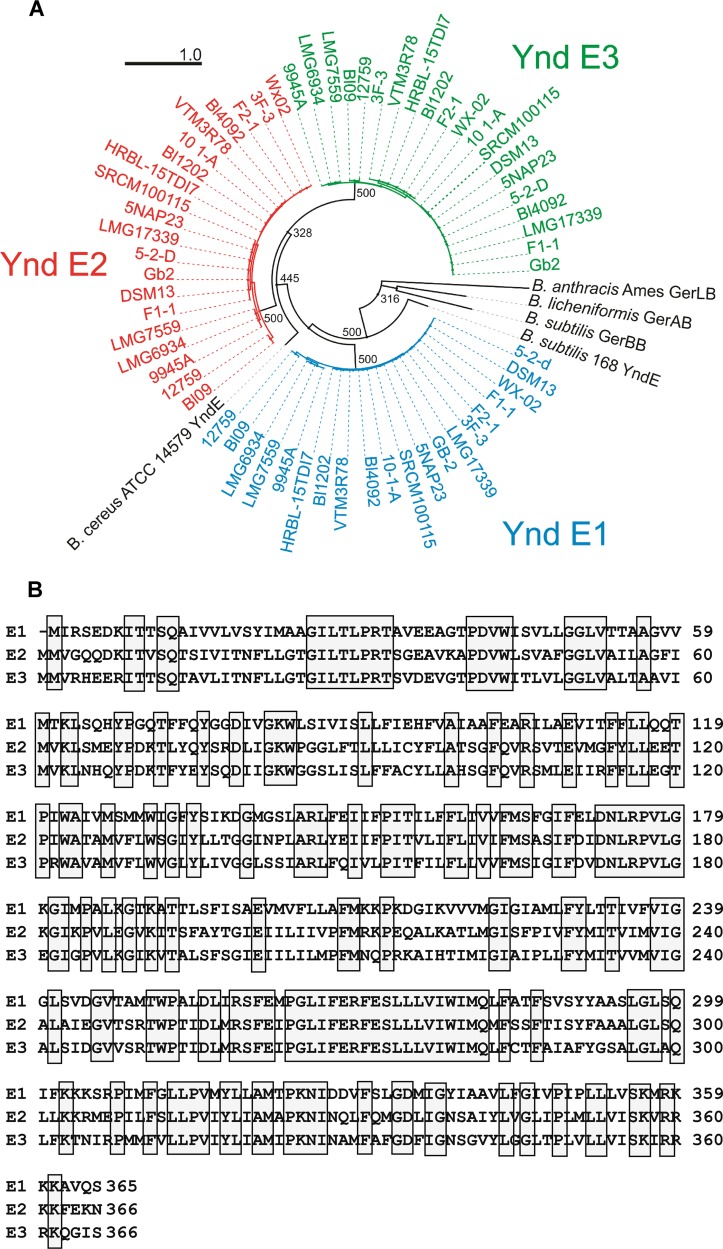 FIG 1