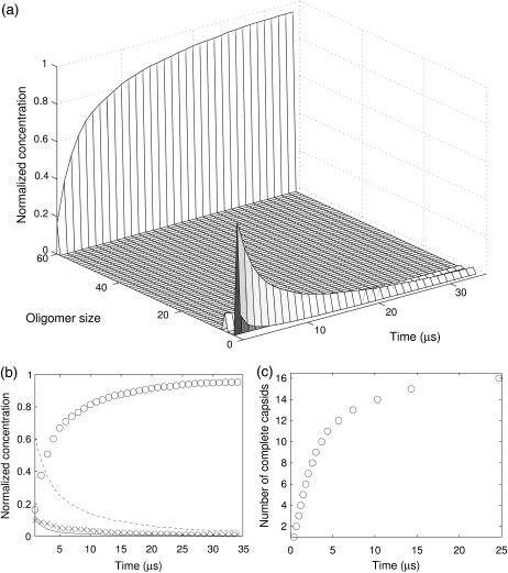 FIGURE 12