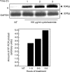 Fig 5