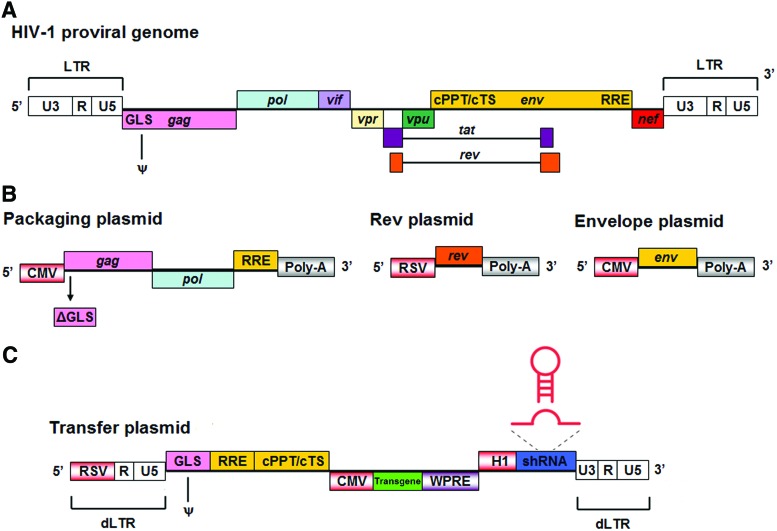 FIG. 2.