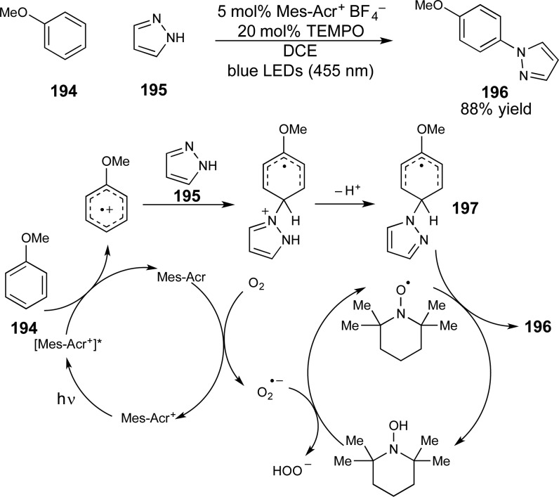 Scheme 51