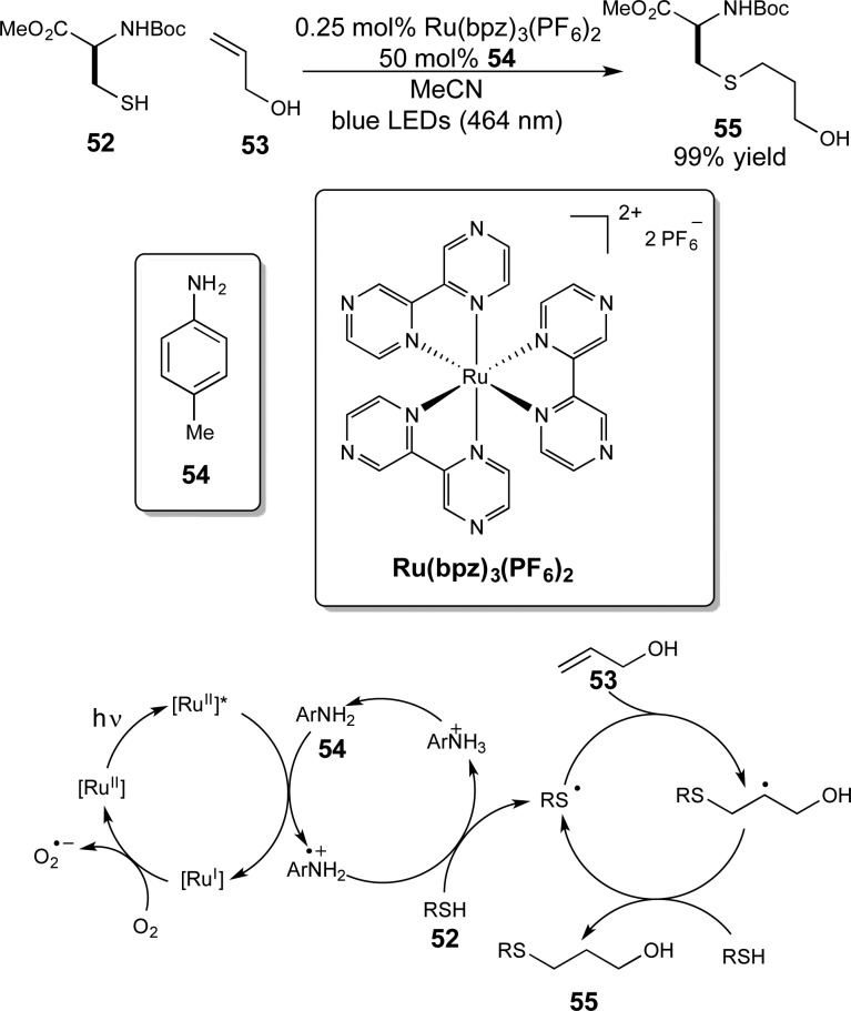 Scheme 13