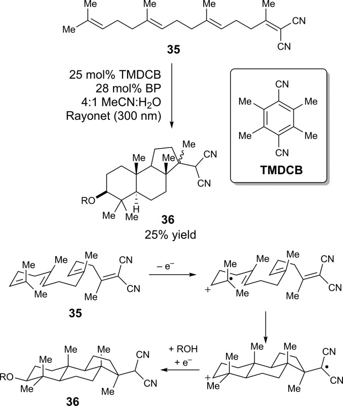 Scheme 8