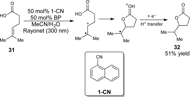 Scheme 6