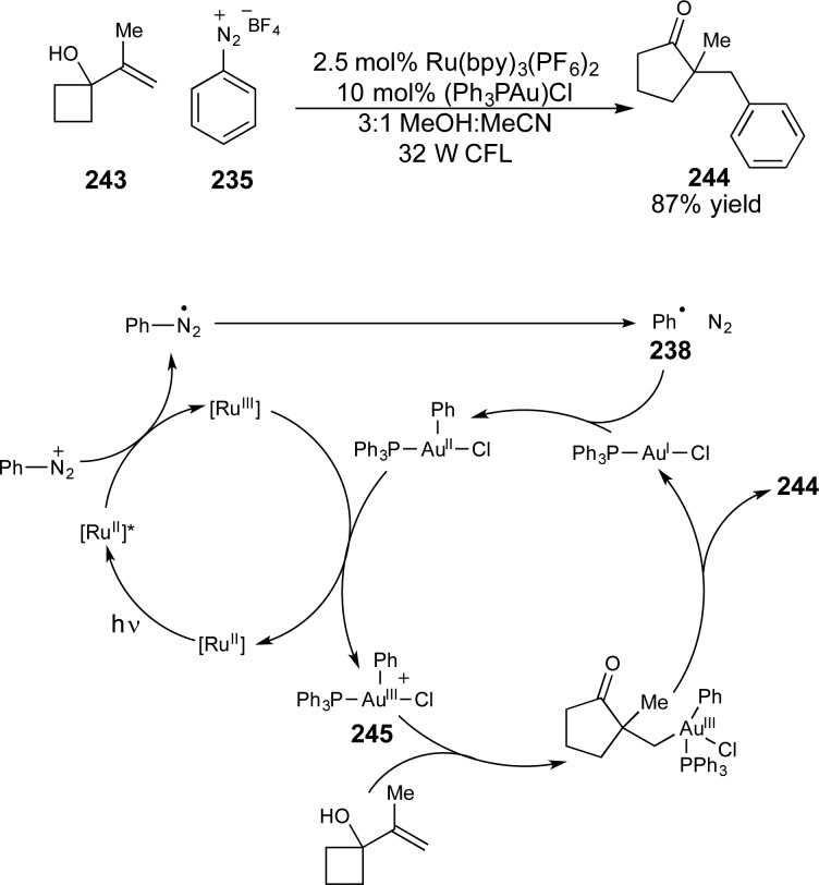 Scheme 64