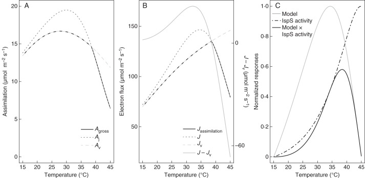 Fig. 9.