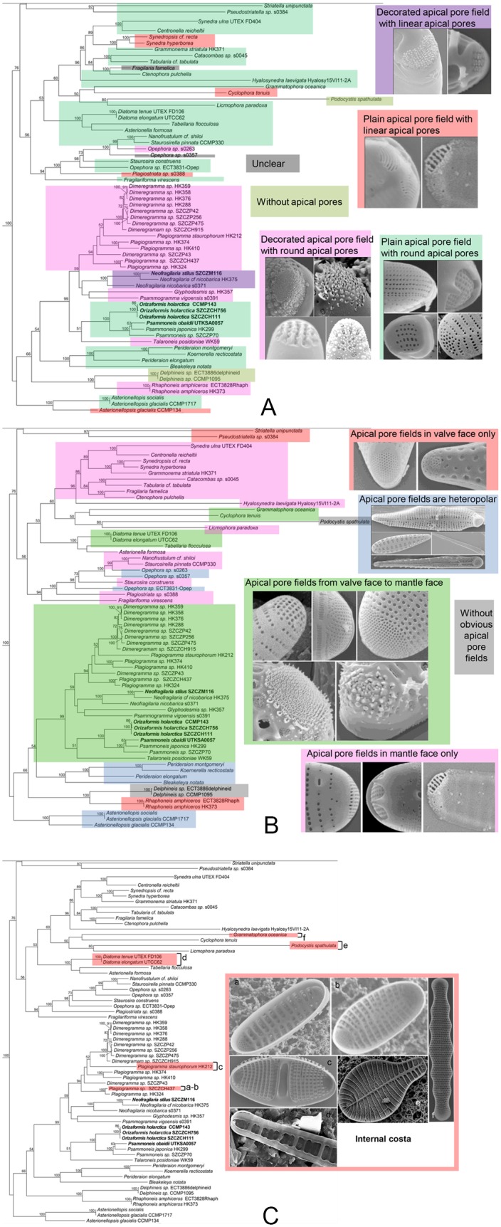 Fig 12